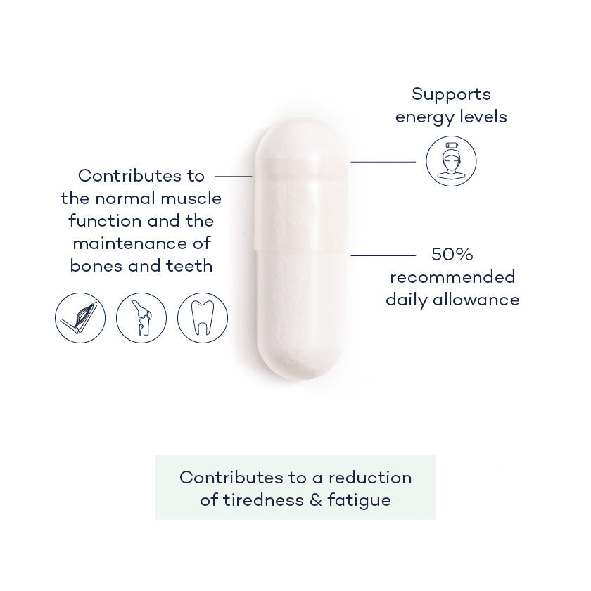 Sleep Supplement Bundle