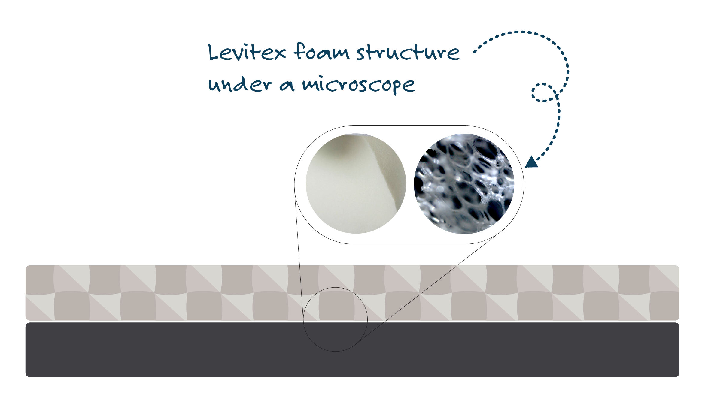 illustration showing how does levitex foam look under a microscope