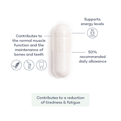Sleep Supplement Bundle